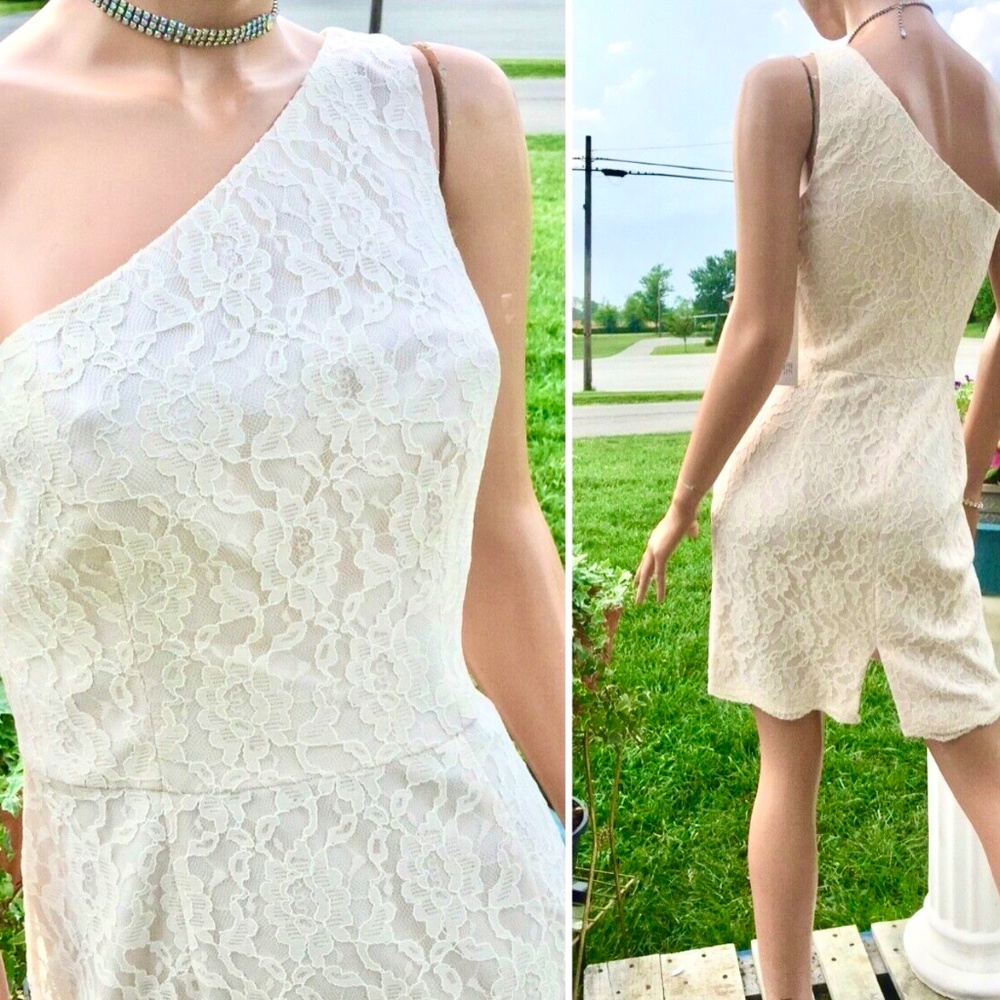 Tutera/Gather&Gown* Lace One Shoulder Mini Bridesmaid/Wedding Dress Whisper Pink